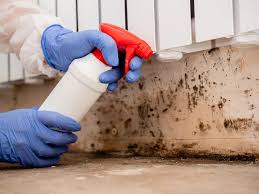 Best Industrial Mold Remediation in Keansburg, NJ